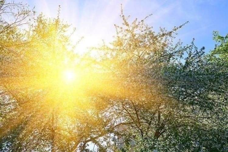 Опасно горещо днес, Смолян е от малкото области в зелено