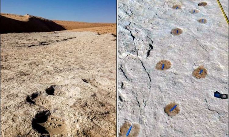 Човешки стъпки на 120 000 години откриха в Саудитска Арабия