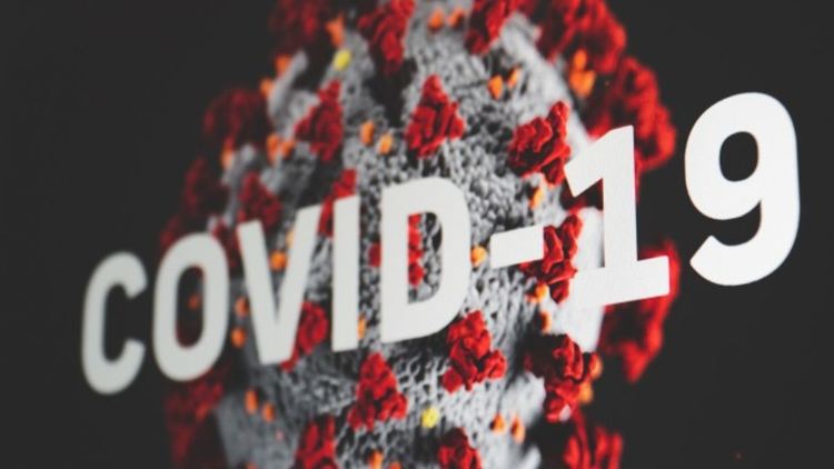 Нови 21 заразени с COVID 19 в областта, още един първокласник сред вирусоносителите