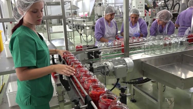 Акт за консервна фабрика без измерване на замърсяването от отпадъчни газове