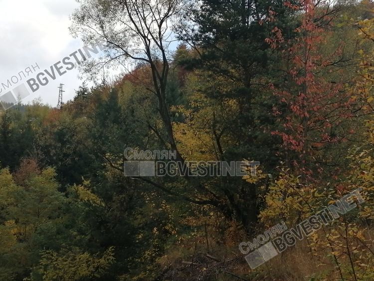 Днес все още сравнително топло за ноември, но застудява, очакват се и валежи