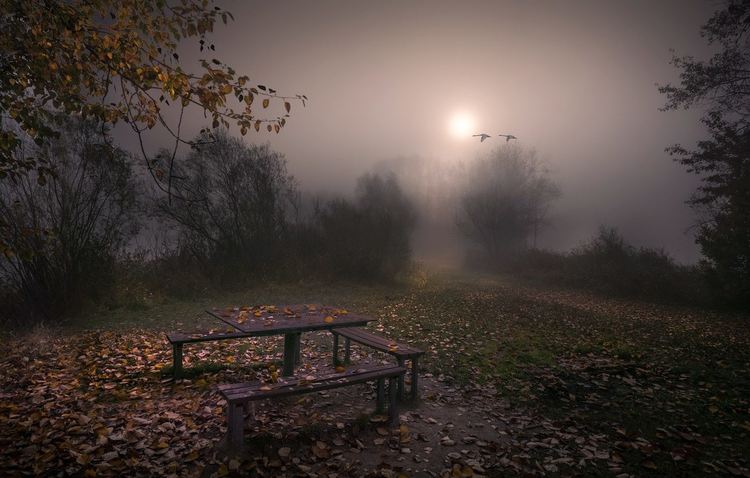 Oблачно и мъгливо с преръмявания на места