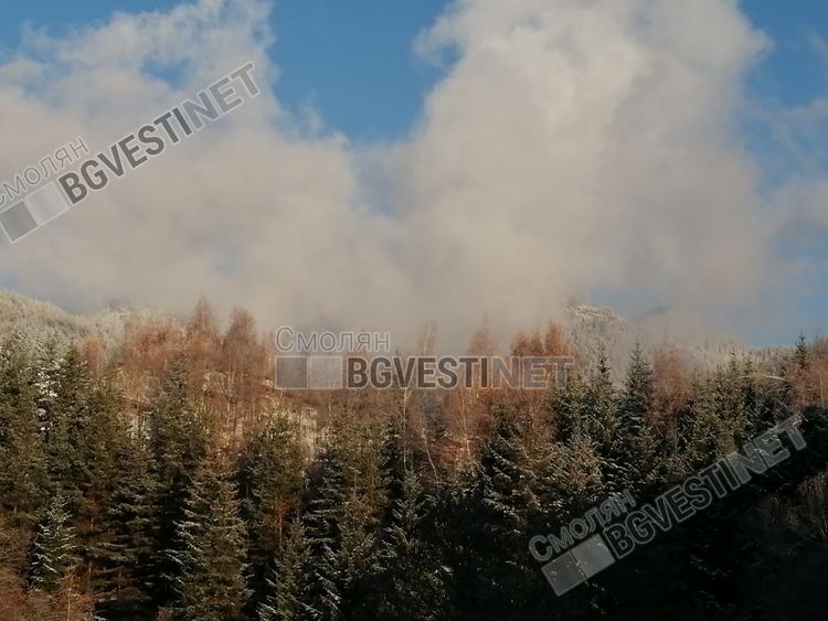 Остава ветровито, но все още топло за края на годината. На места ще превали