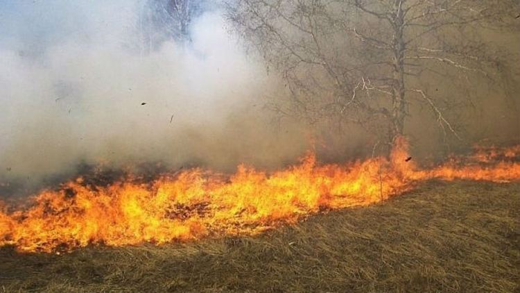 Пламнаха сухи треви край Чепеларе