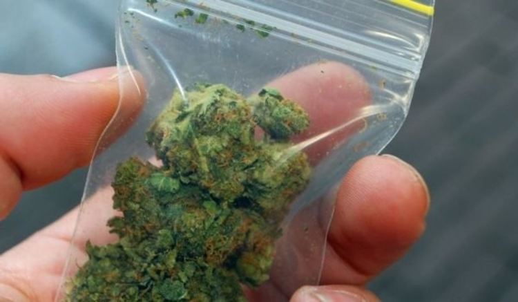 Задържаха младеж с кило марихуана край Димитровград