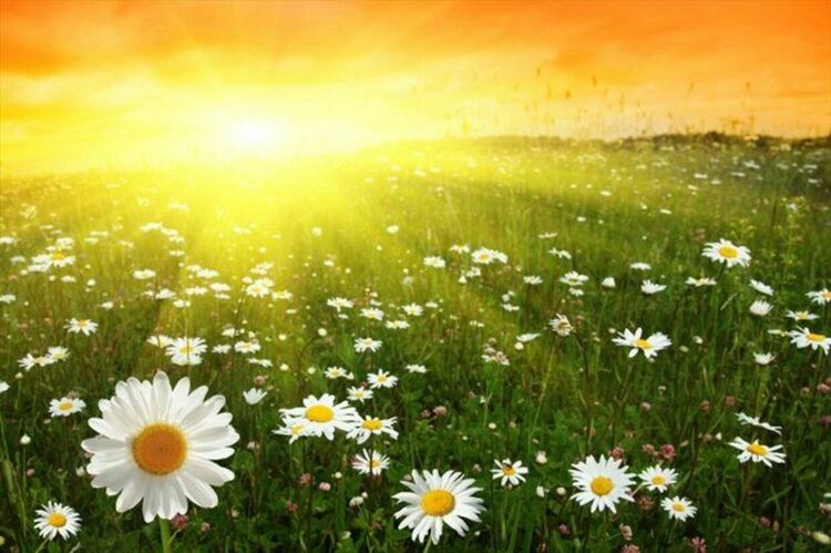 Слънчево и горещо на 17 август