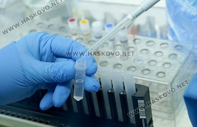Шест жертви на коронавируса, между тях 36-годишен мъж, без придружаващи заболявания