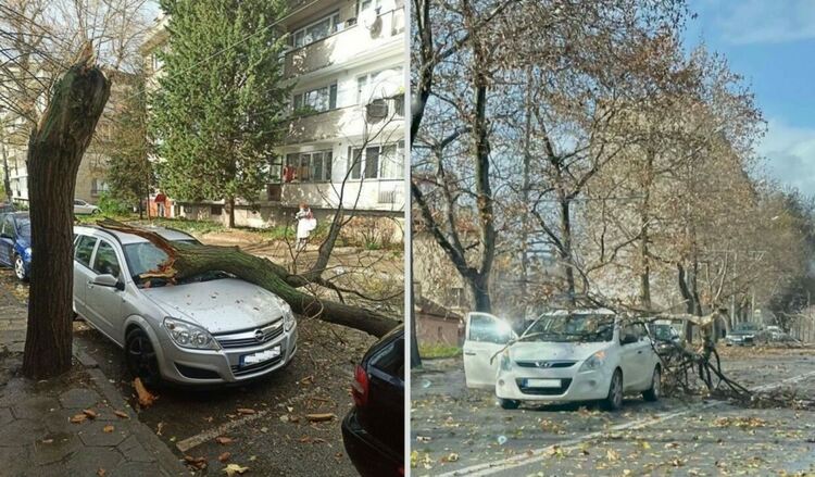 Ураганен вятър остави сливенски села без ток