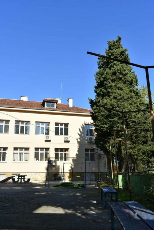 Повече от 2 550 деца и възрастни използват социалните услуги, предоставени от община Асеновград 