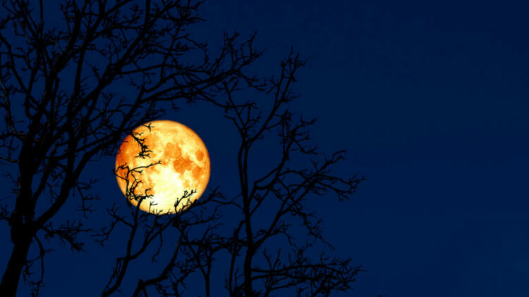 Днес наблюдаваме Червеева луна