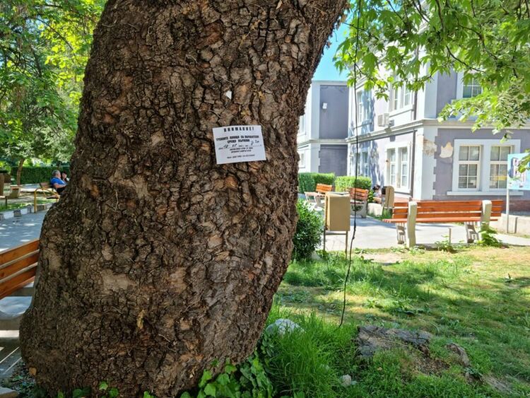Продължава обработката на зелените площи срещу кърлежи в Асеновград