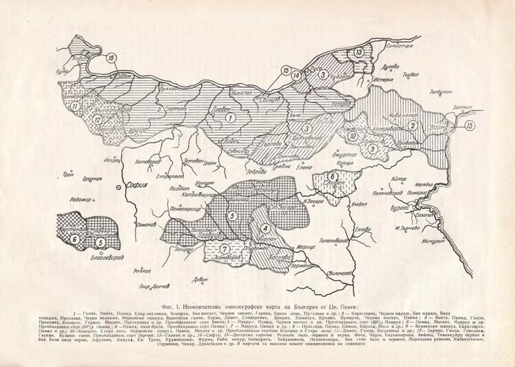 Винените райони на България: Началото, 1933 г.