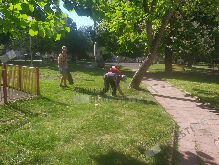 Спешно започва косене на тревните площи във „Възрожденци”, заради опасност от марсилска треска
