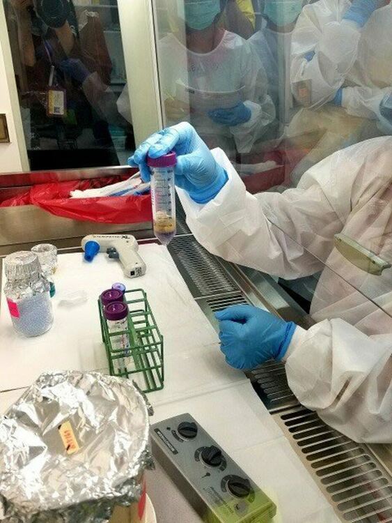 Вирус на полиомиелита открит във Великобритания, обявено е извънредно положение