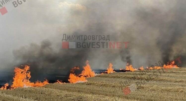 Пожар бушува край Димитровград