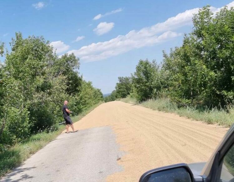 Разсипано жито затруднява движението около първомайското село Брягово
