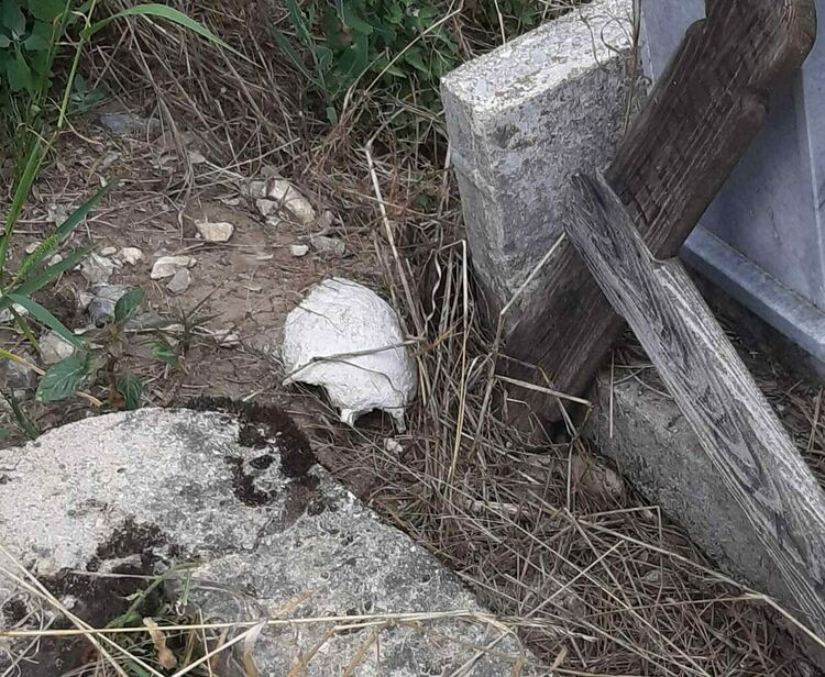 Зловещо! Черепи и кости "излязоха" от гробището в с.Орехово. Слух за иманяри паникьоса селото