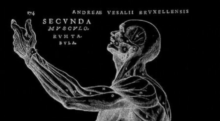 Пристрастия и фалшиви резултати в невронауката