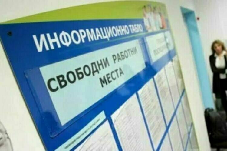 През юли 77 младежи са регистрирани в Бюрото по труда