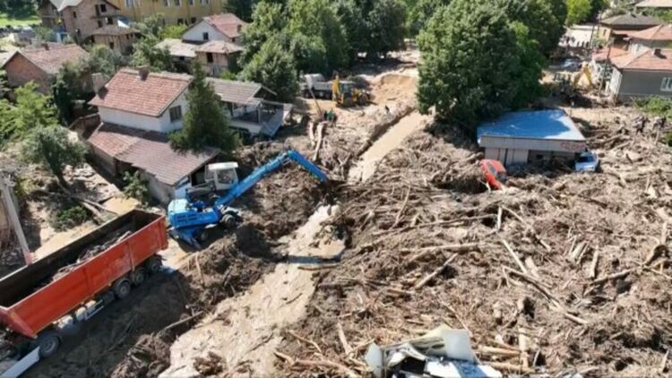 Министри се качват на Балкана да търсят незаконна сеч