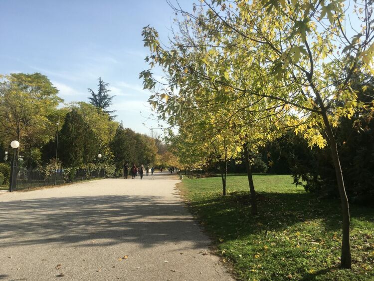 Сутрешни мъгли, слънчево и топло през деня