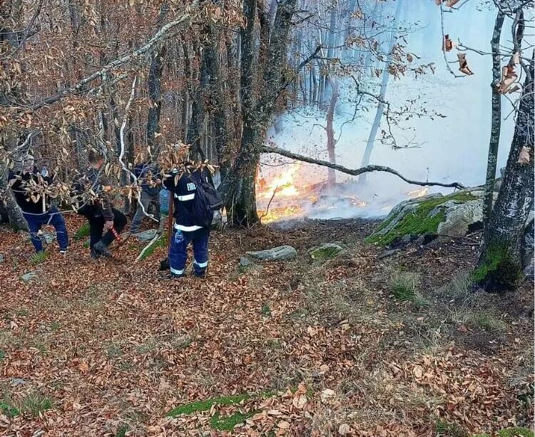 Стопаните на гората около Вейката благодарят на огнеборци и доброволци за себеотрицанието