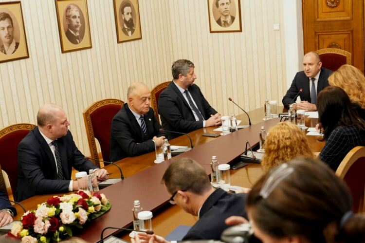 "Демократична България" на консултации при президента