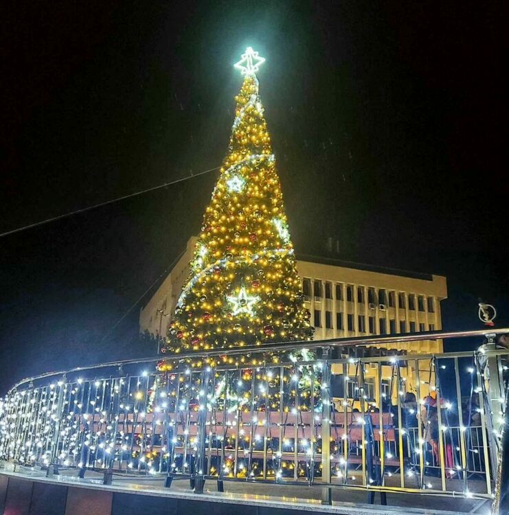 Грейна коледната елха в Асеновград (снимки)