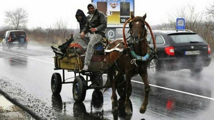 Непълнолетни апаши натовариха каруца с павета в Кърджали, задържаха плячката им
