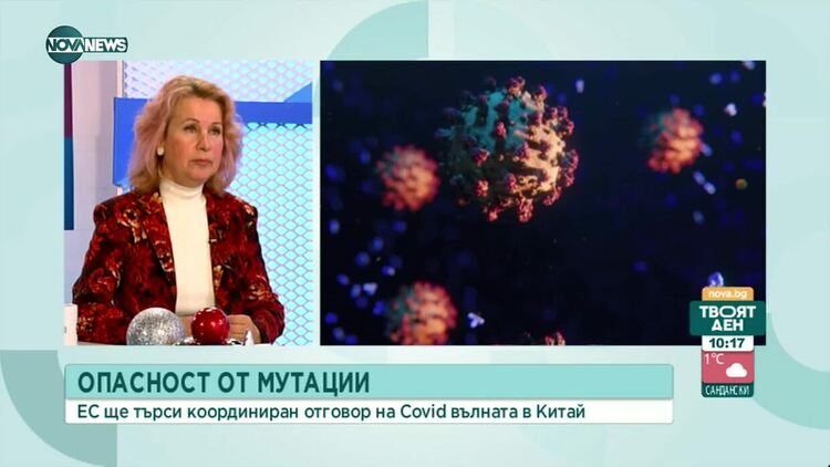 Проф. Христова: Очаква се пик на грип и остри респираторни заболявания през февруари