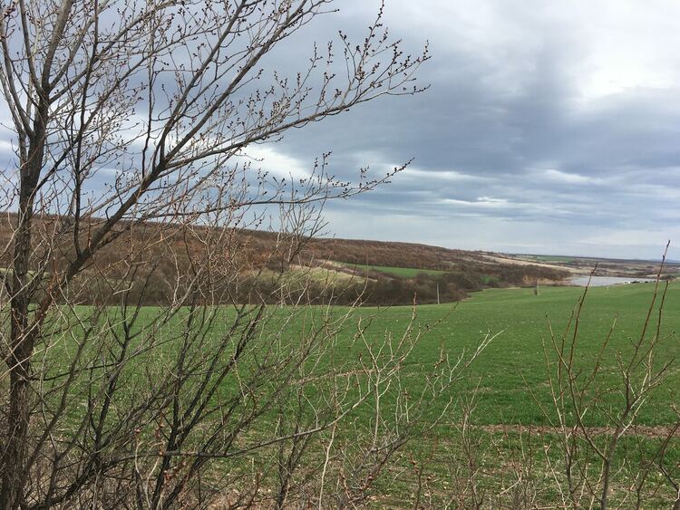 Слънчево и ветровито в петък