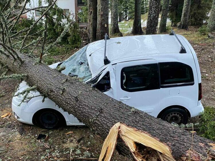 Силният вятър събори дърво върху автомобил в Пампорово