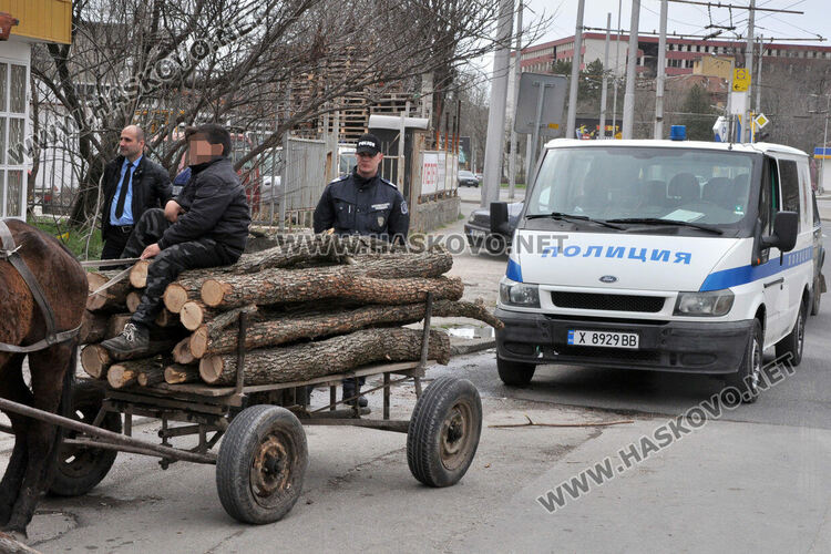 Хванаха четирима с незаконни дърва в „Република“