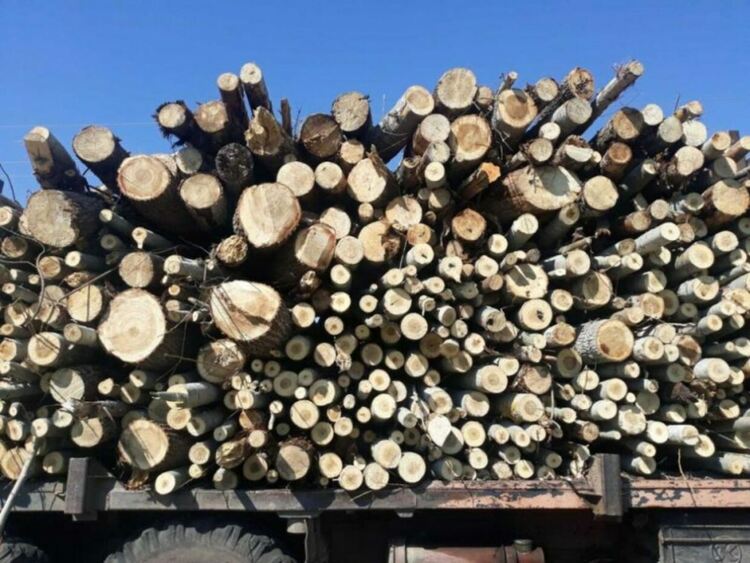 Желаещите да купят дърва за огрев за следващата зима трябва да подадат заявление до края на март