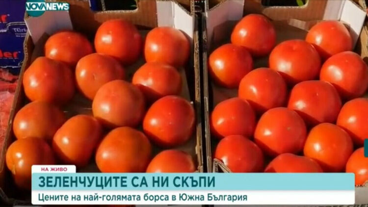 За седмица доматите поскъпнали с 12%, краставиците - с 6% 