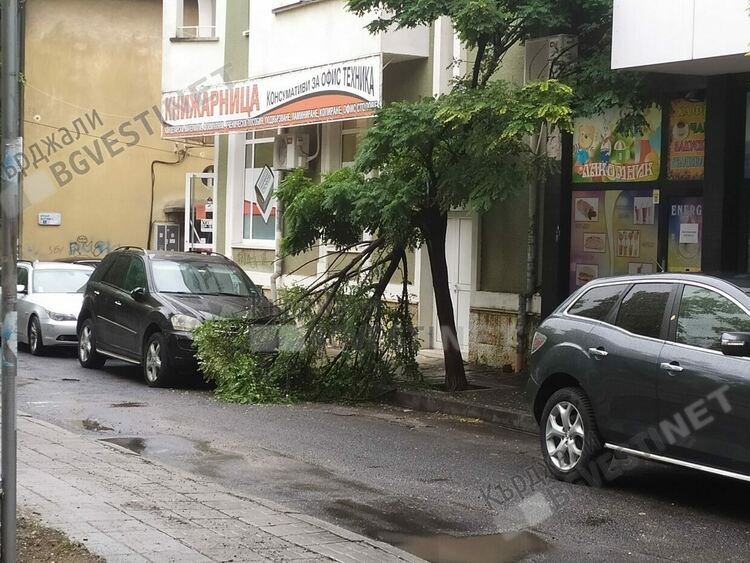   Жълт код за силен вятър е обявен за Кърджалийска област,в Кърджали ще е полусилен