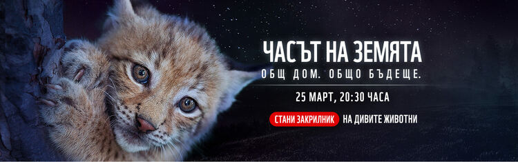 WWF иска да върне рисовете в българските гори