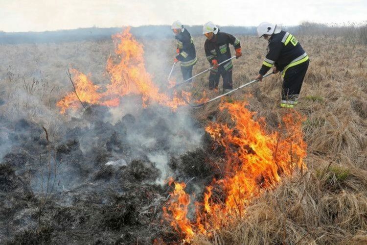 Три пожара в сухи треви за ден, все заради човешка небрежност	