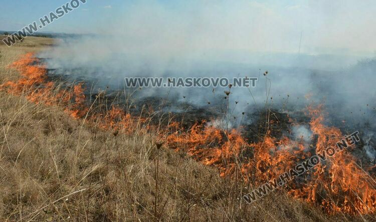 Пожар унищожи 300 дка сухи треви в Хасковско