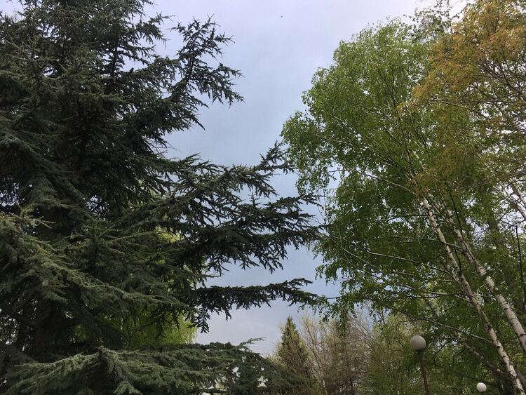 Облачно и ветровито, превалявания с гръмотевици на места