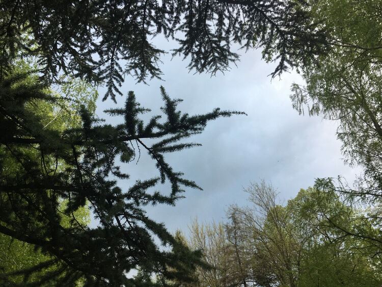 Облачно и дъждовно, на места с гръмотевици