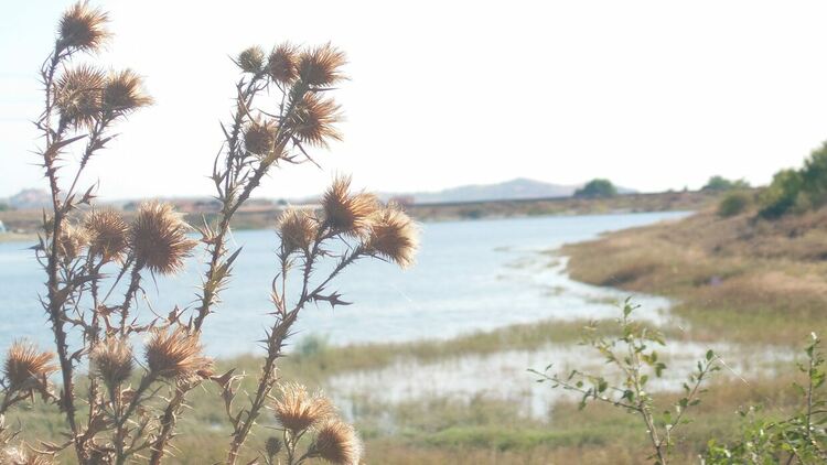 Облачно и по-хладно, ще превали и прегърми 