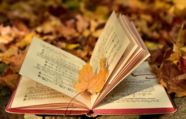 Рецитал в КДК за Празника на поезията и музиката