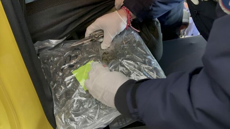 Искат задържане под стража за трафиканти на марихуана за над 70 хил.лв.