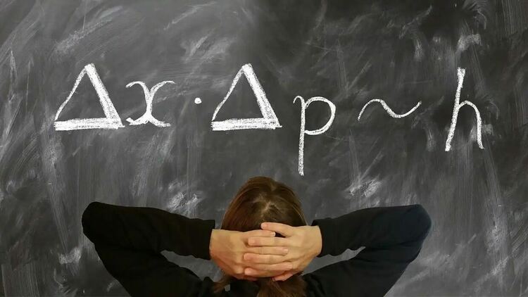 Учени обясняват с квантови идеи миграцията на птиците