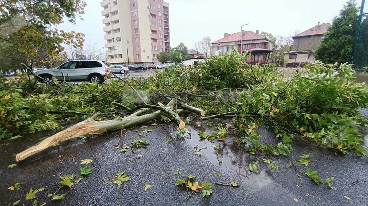 4 пожара по време на потопа,множество сигнали за паднали дървета,заради бурята/снимки/