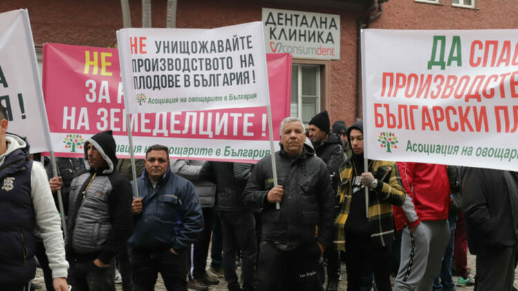 Животновъди и оранжерийни производители протестират пред сградата на земеделското министерство в София