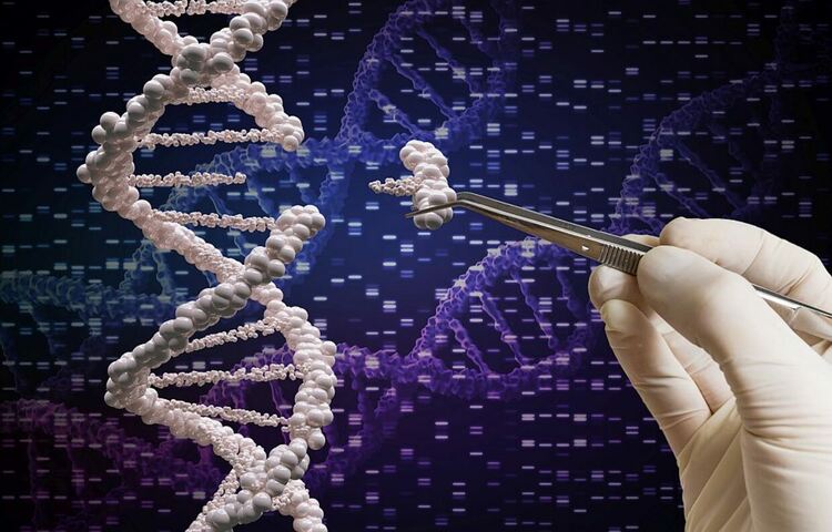 САЩ одобриха революционната терапия за редактиране на гени CRISPR