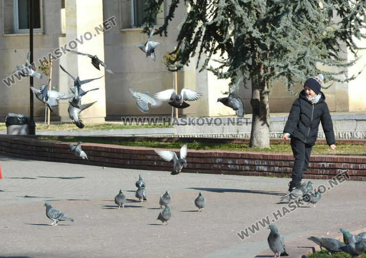 Слънчево, но студено през днешния ден