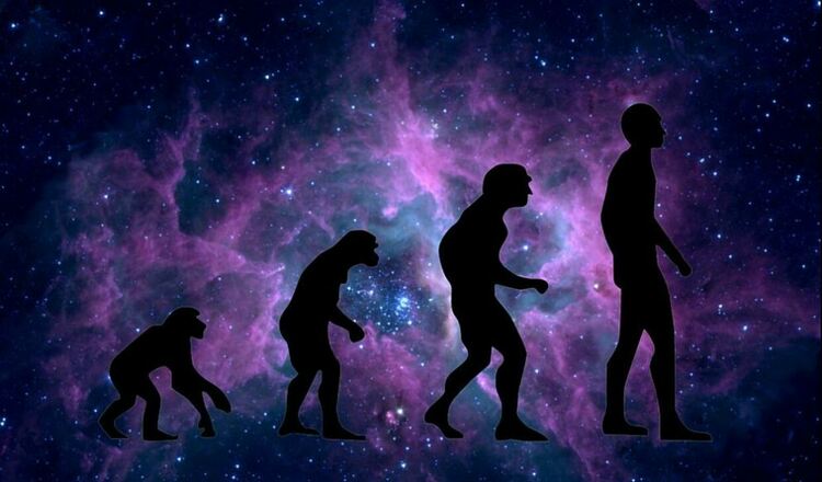 Открити в пещера в Германия: Кости пренаписват ранната история на Хомо сапиенса